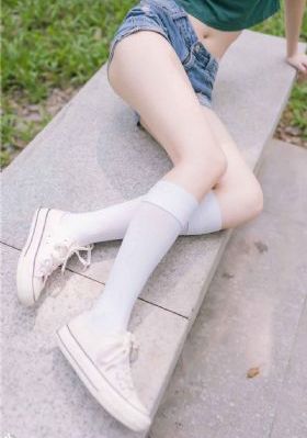 主君的太阳