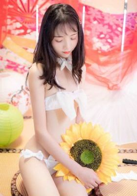新三国演义95集免费